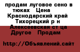 продам луговое сено в тюках › Цена ­ 90 - Краснодарский край, Тихорецкий р-н, Алексеевская ст-ца Другое » Продам   